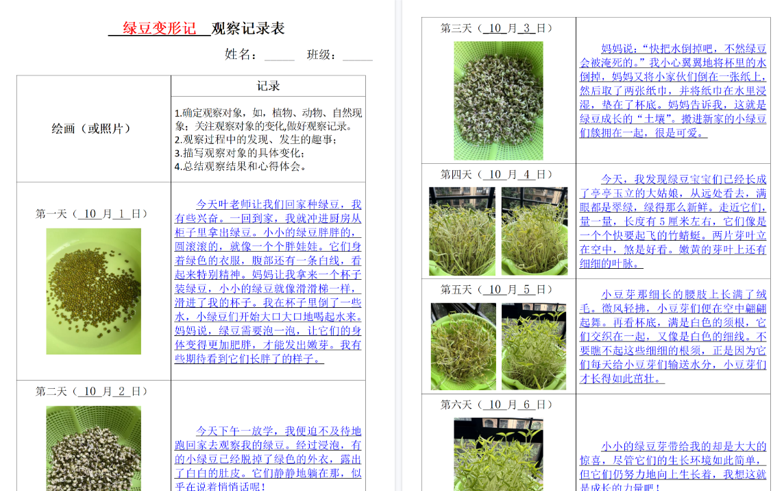 【8页完整版】四上语文观察记录表-教学网