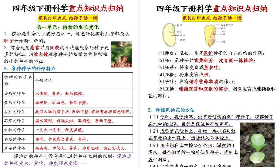 【2026春20页完整版】四年级下册科学知识点归纳-免费学习资料下载 - 开学吧