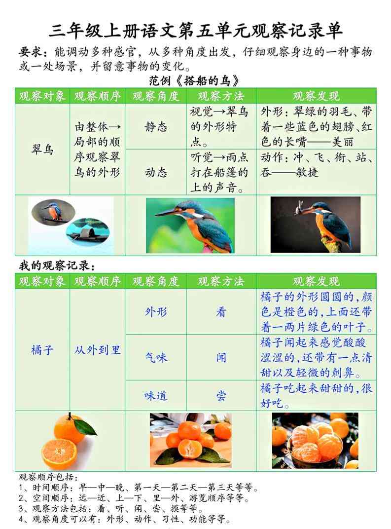 三上语文第五单元观察记录单（空白+答案14页）-教学网