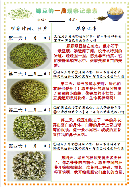 四年级上册语文习作三：绿豆的一周观察日记1《写观察日记》9页-教学网