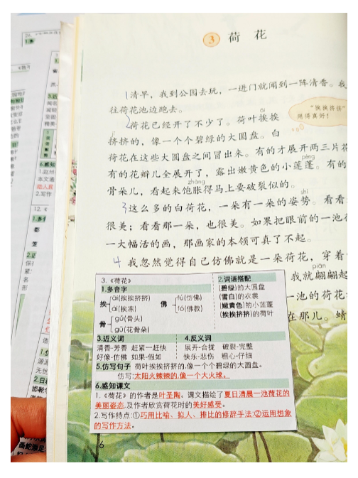 【精品】三年级语文课课贴-教学网