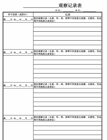 【4页完整版】四（上）语文【第三单元习作观察日记专项练习】-教学网