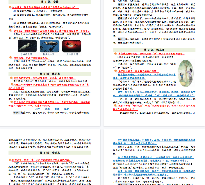 【27页完整版】五上丨语文 课后习题解析参考-教学网