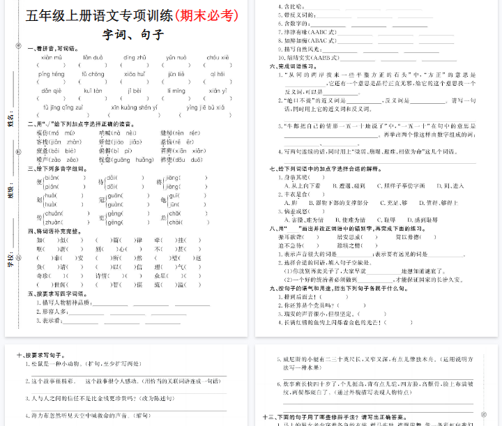 【5页完整版】《语文字词、句子专项训练》-教学网